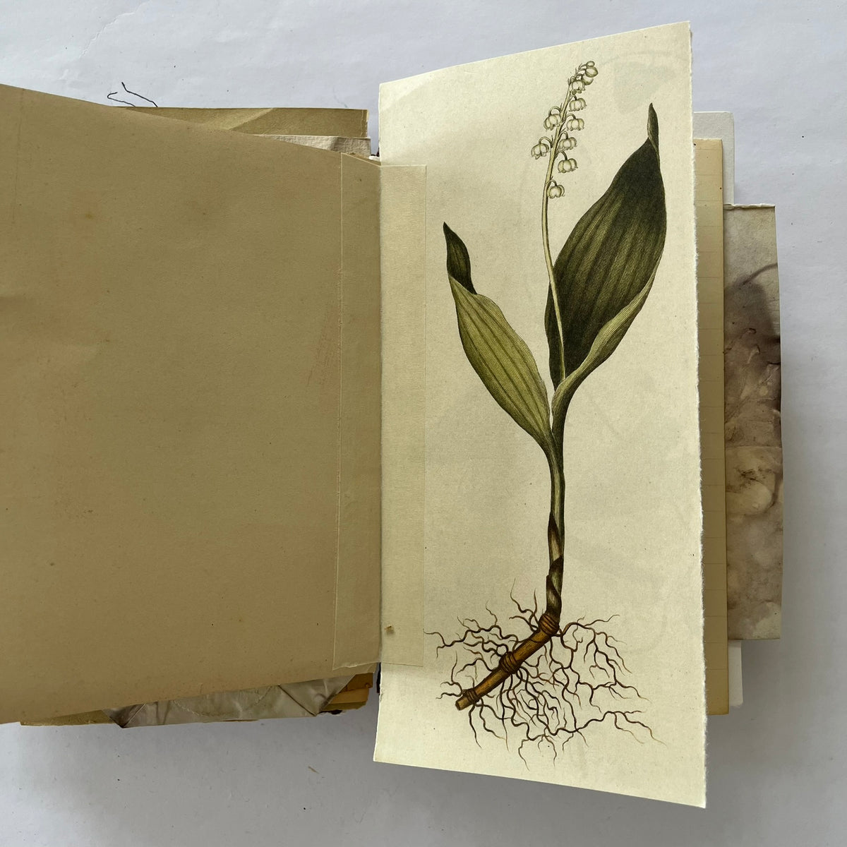 Back in Time Journal