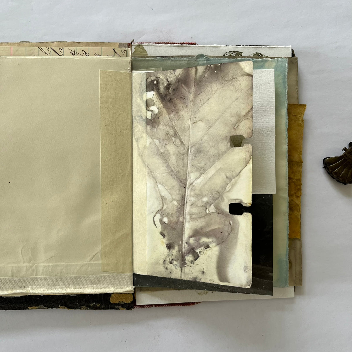 Journal in a box