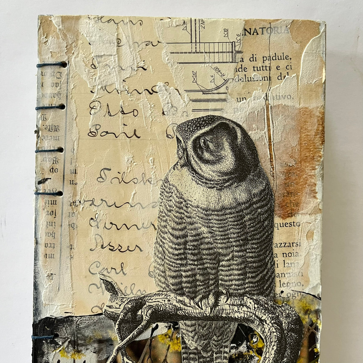 The owl journal