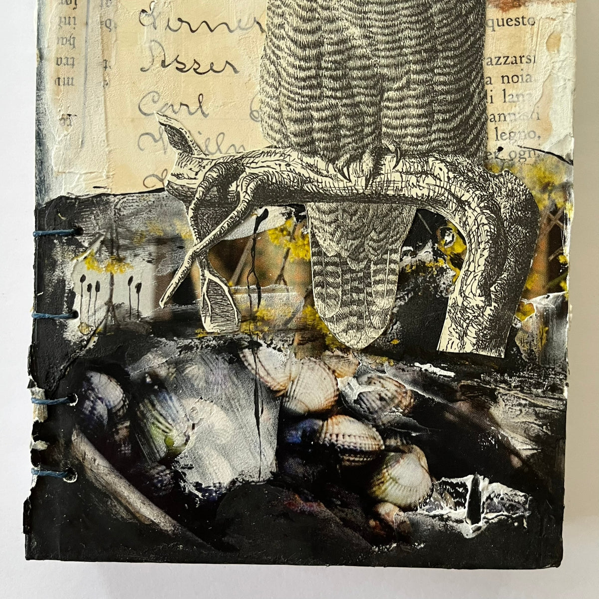 The owl journal