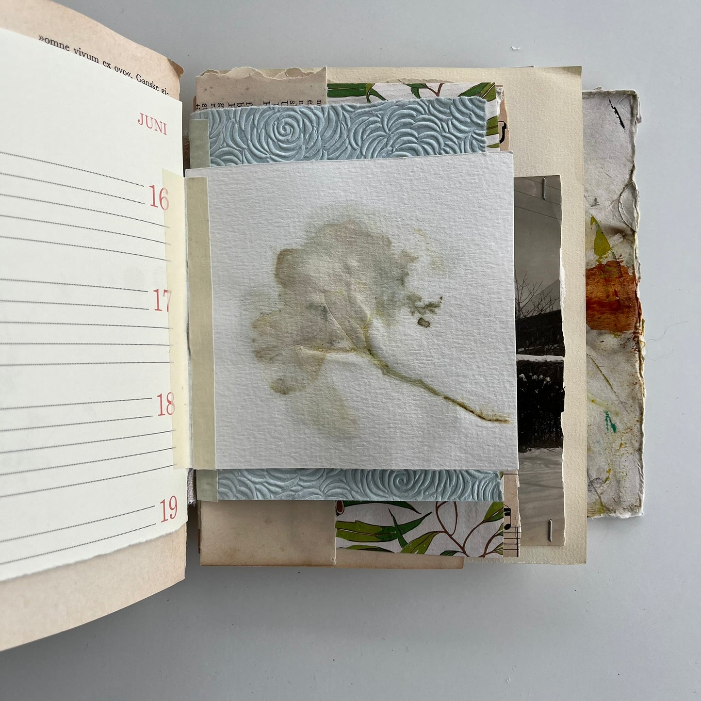 Natures Journal with Hydrangea - no. 2