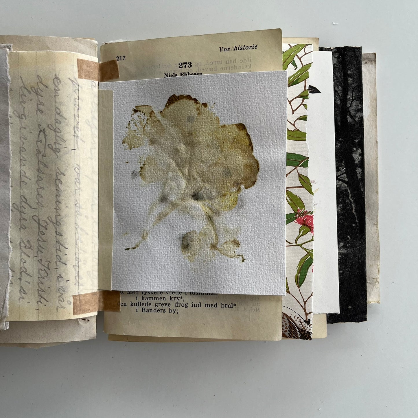 Natures Journal with Hydrangea - no. 3