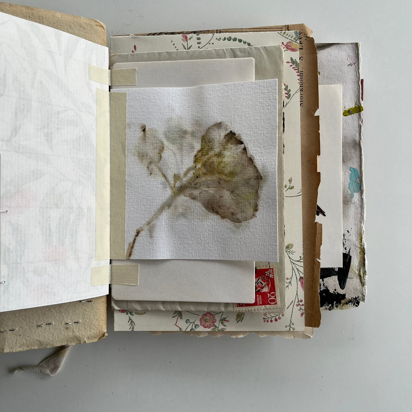 Natures Journal with Hydrangea - no. 4