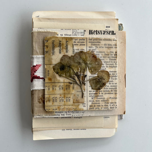 Natures Journal with Hydrangea - no. 5