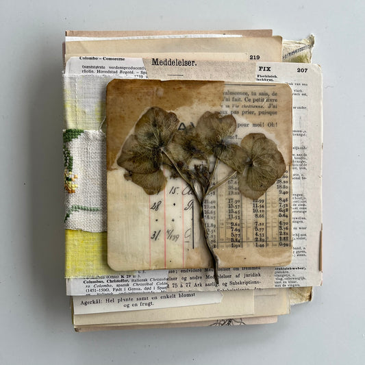 Natures Journal with Hydrangea - no. 6