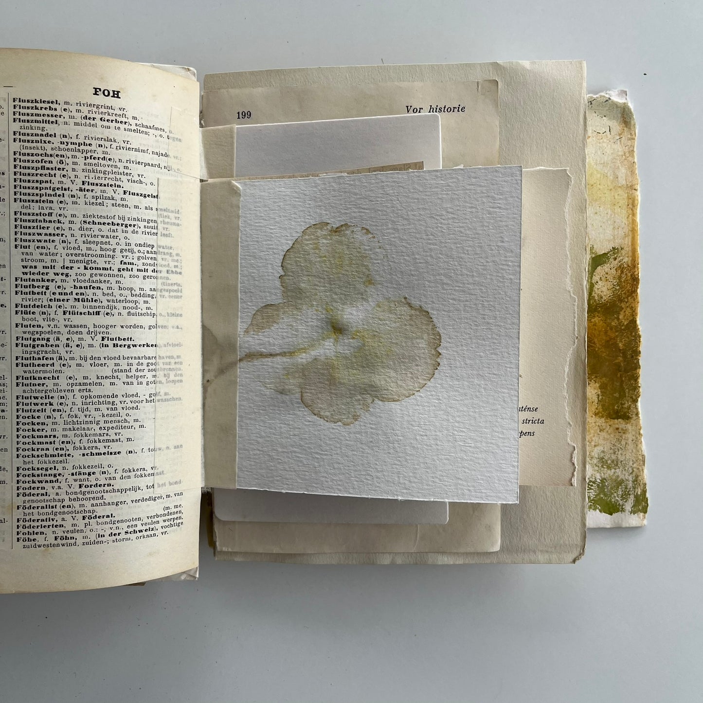 Natures Journal with Hydrangea - no. 8