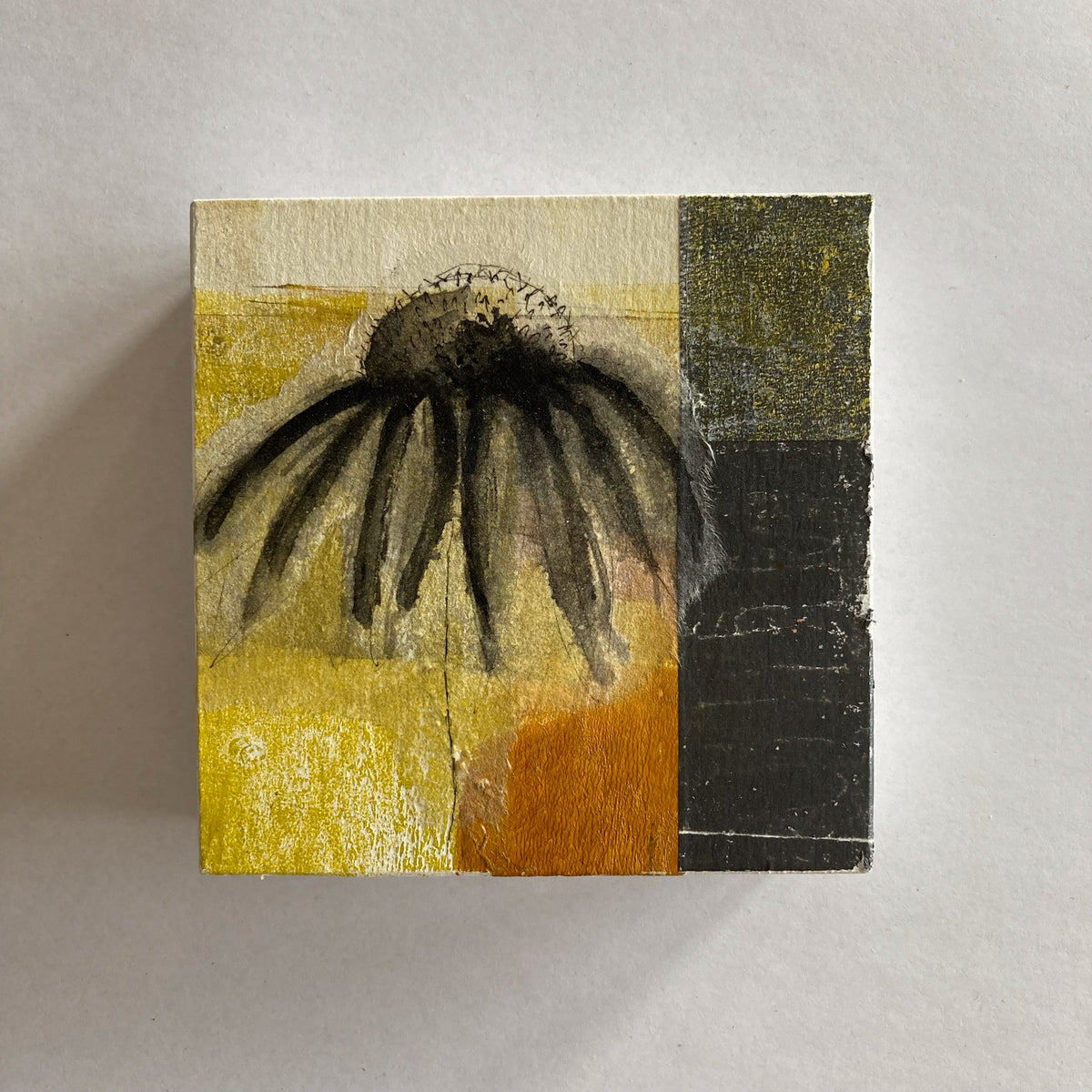 Coneflower - collage and drawing