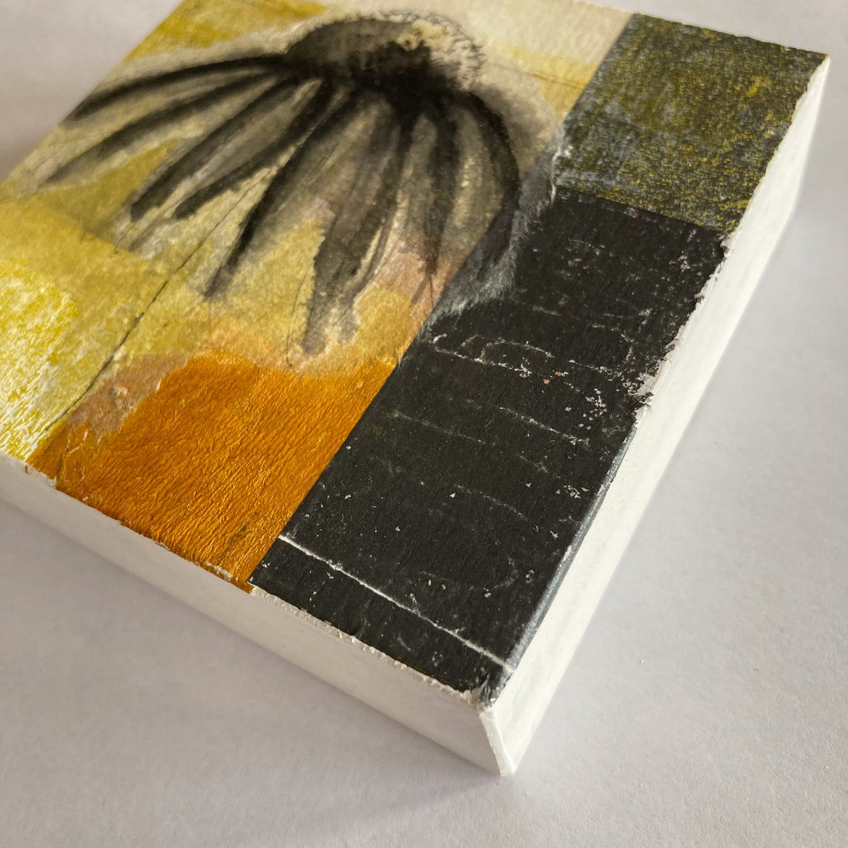 Coneflower - collage and drawing