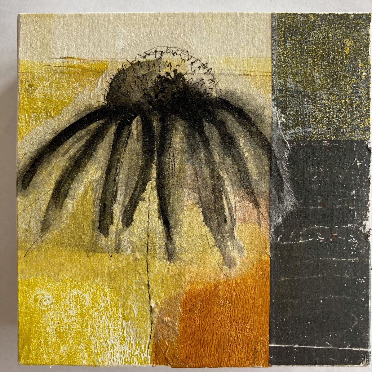 Coneflower - collage and drawing