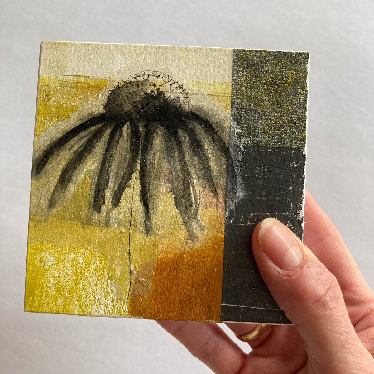 Coneflower - collage and drawing